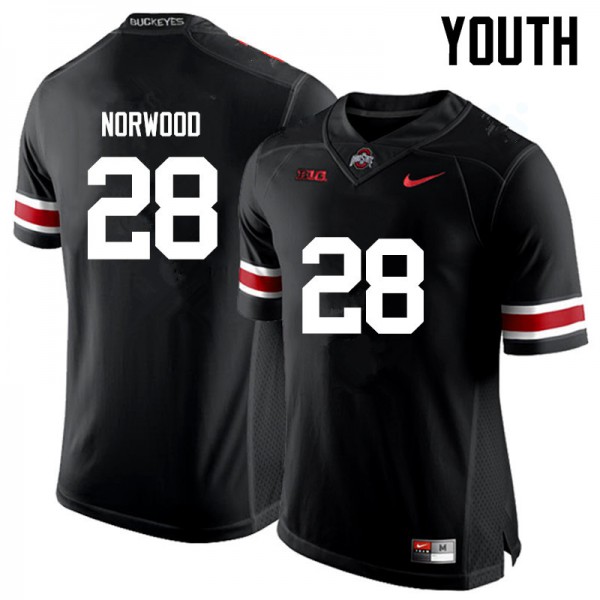 Ohio State Buckeyes #28 Joshua Norwood Youth Football Jersey Black OSU53049